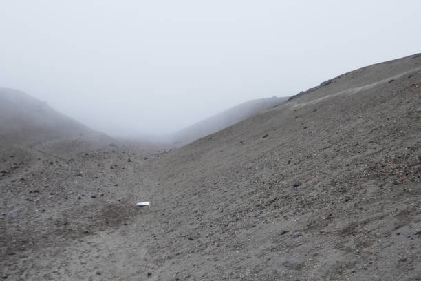 istock Cotopaxi National Park, Ecuador, Part 2 1330759756