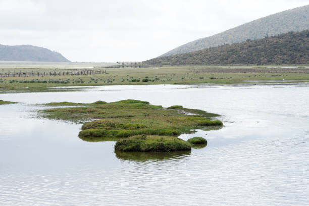 istock Cotopaxi National Park, Ecuador, Part 2 1330760810