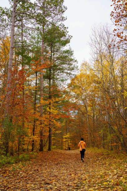 istock Hiking in autumn forest 1330762444
