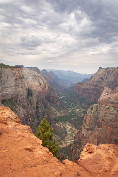 istock Looking through the canyon.  Zion National Park, Utah. 1330764852