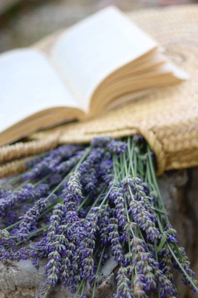 istock Straw Bag, Lavender Flowers and Open Book 1330766989