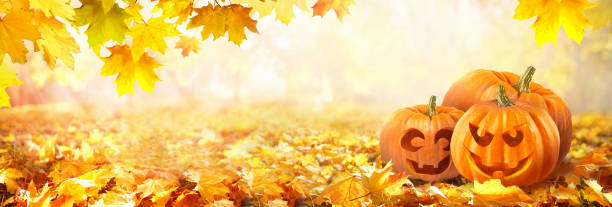 istock Autumn composition with three pumpkins for Halloween. 1330772108