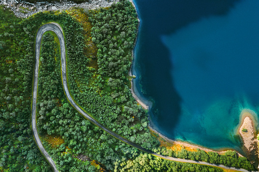 Aerial view serpentine road and forest with sea drone landscape in Norway above trees and blue sea water scandinavian nature wilderness top down scenery