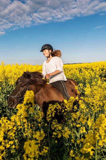 istock Horseriding in a Canola field. 1330773693