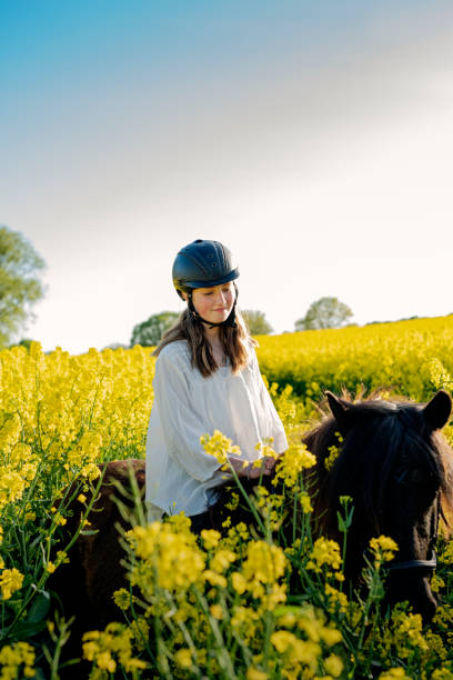 istock Horseriding in a Canola field. 1330773891