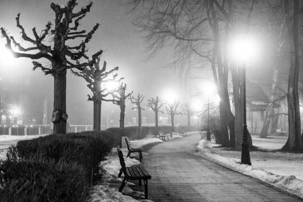 istock winter promenade in the evening 1330774646