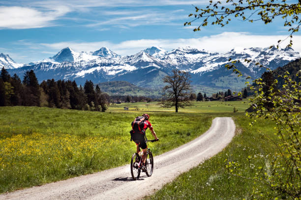 A cyclist rides on a beautiful spring day towards the Bernese Alps, through the Stockental, Bernese Oberland, Switzerland stock photo