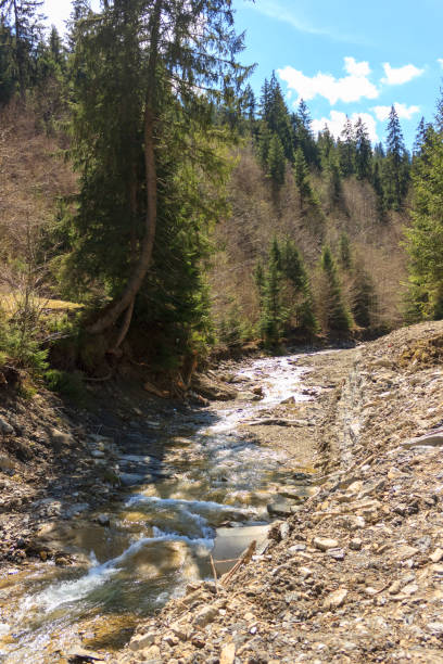 Mountain waterfall on a stream in the mountains with a forest