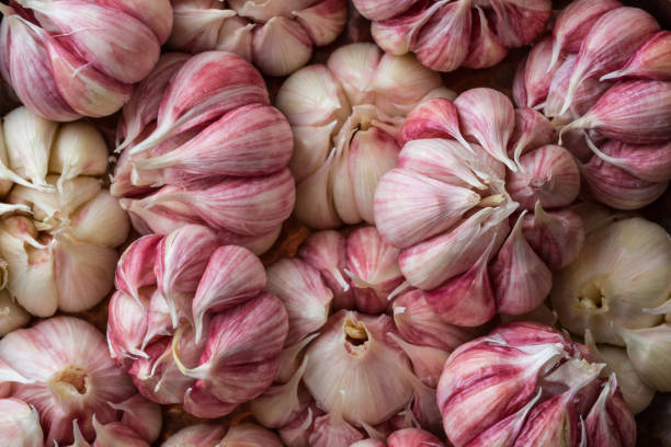 istock Fresh whole garlic close-up as background, texture. Top view 1330780478