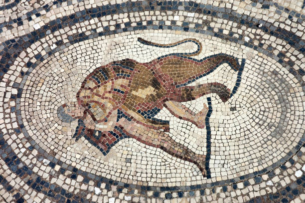 istock Archaeological site of  Volubilis in Morocco 1330780656