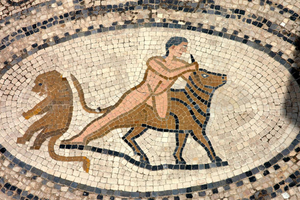 istock Archaeological site of  Volubilis in Morocco 1330781052