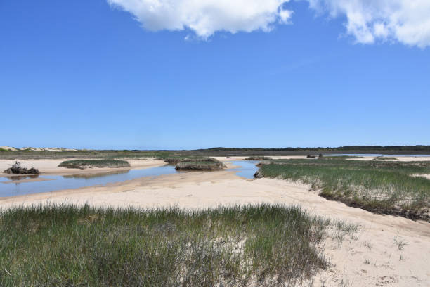 impresionantes vistas panorámicas de outer cape cod - cape cod new england sea marsh fotografías e imágenes de stock