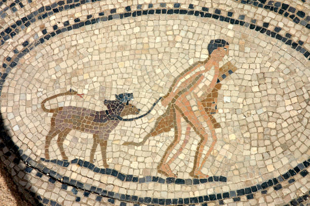 istock Archaeological site of  Volubilis in Morocco 1330781704