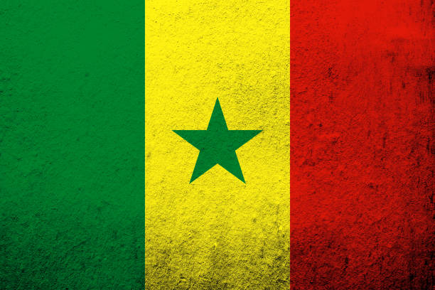 die nationalflagge der republik senegal. grunge-hintergrund - senegal flag dirty africa stock-grafiken, -clipart, -cartoons und -symbole