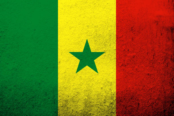 ilustrações, clipart, desenhos animados e ícones de bandeira nacional da república do senegal. fundo grunge - senegal flag dirty africa