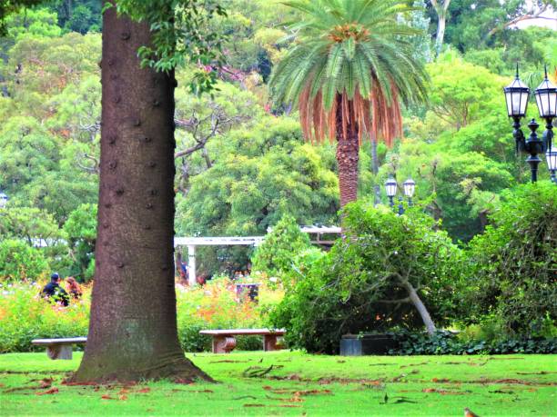 Buenos Aires, Argentina -March 03, 2019.Public park in Palermo in Buenos Aires.People relaxing in park. The Rosedal Park in Parque Tres de Febrero at the Palermo. Happiness in Nature.
