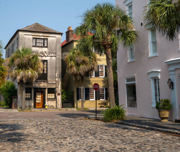 istock Old houses in Charleston 1330785142