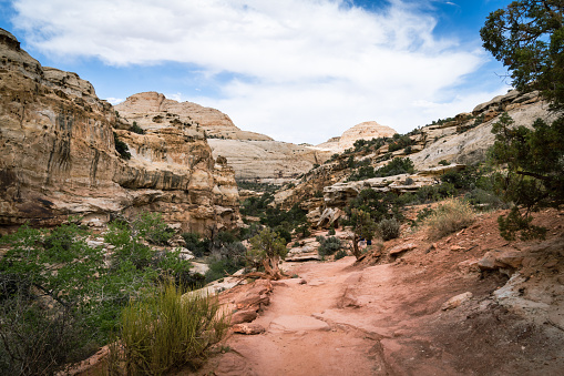 Along the Hickman Bridge trail in  Capitol Reef National Park on a cloudy spring day
