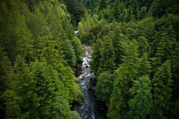 istock sources of gillardes in france 1330788498