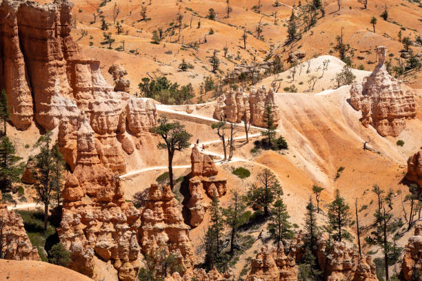 istock Queens Garden trail with switchbacks in Bryce Canyon National Park 1330788601
