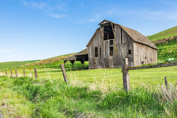 Pullman, Washington, USA. May 22, 2021. A gray weathered barn in the Palouse hills.