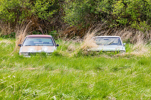 Albion, Washington, USA. May 23, 2021. Abandoned cars in a field in the Palouse hills.
