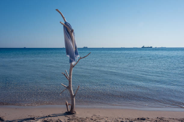 Beach towel hanging from a dry tree branch on the beach. There is a beautiful and calm sea view in the blurred background. A sea view with the concept of summer vacation, calmness and relaxation.