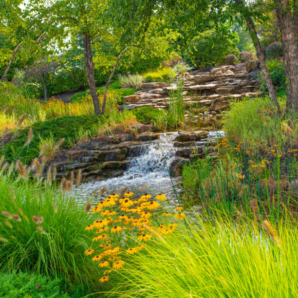 istock Beautiful small brook with waterfall and flowers-Hamilton County, Indiana 1330790951
