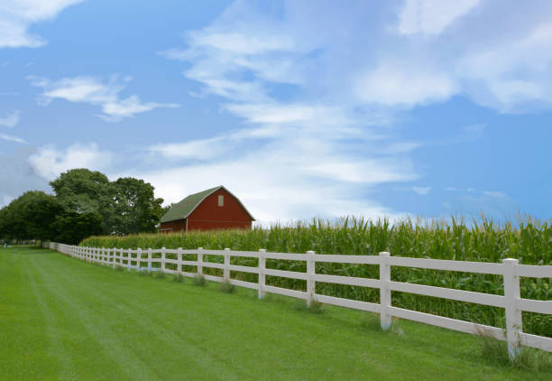 cerca y campo del maíz con el granero en fondo-condado de owen, indiana - granja fotografías e imágenes de stock