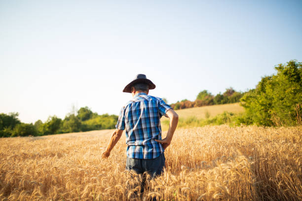 istock Harvesting Season 1330797118