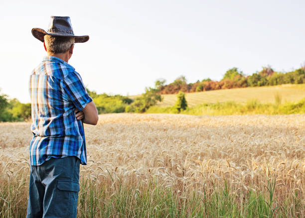 istock Male Farmer by the Wheat Field 1330797139