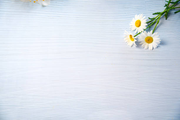 A corner of the wooden table, a few white daisies. Copy space