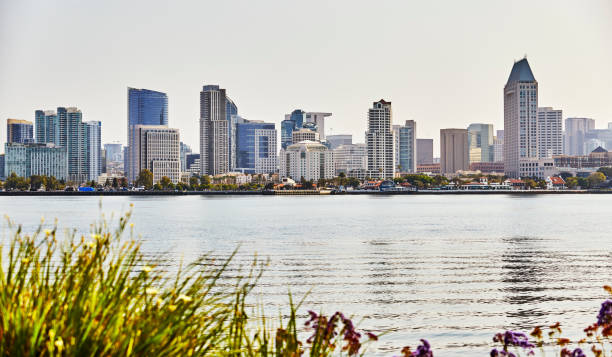 istock Skyline view of San Diego, California 1330817206