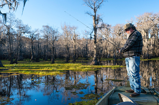 Adult man with a long white beard wearing a plaid shirt stands in his boat to fish in the bald cypress swamp of  Caddo Lake on the border between Louisiana and Texas, Uncertain, TX, USA