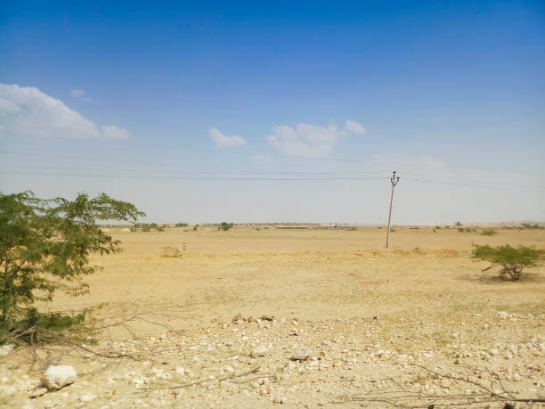 istock Thar desert, Jaisalmer, Rajasthan, India 1330820528