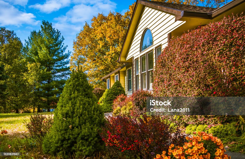 View of Midwestern house in late afternoon in autumn with flowers and bushes in front Midwestern house  in late afternoon in autumn; blooming flowers and bushes in front yard; blue sky and trees with yellow leaves in background Autumn Stock Photo