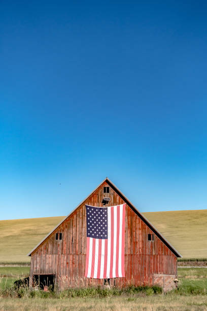 istock Magical wheat farm fields in palouse washington 1330822484