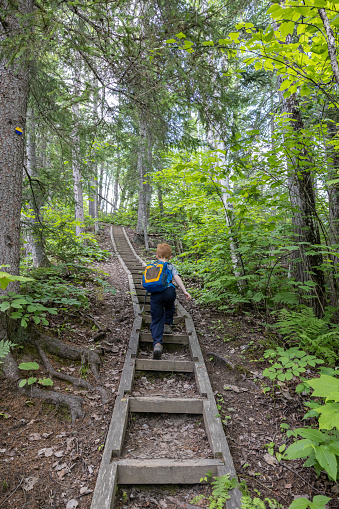 Young boy walking , hiking the Mekinac trail in Parc National de la Mauricie, Quebec, Canada in Summer.