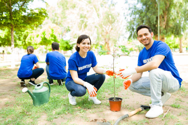 istock Volunteers helping to reforest the park 1330822783