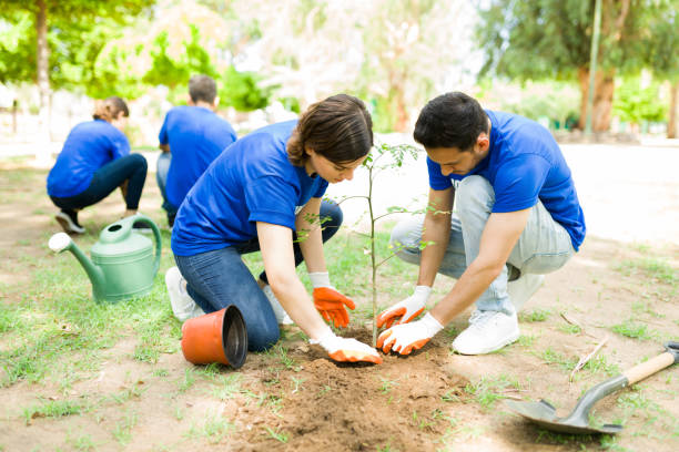 istock Diverse volunteers digging a hole to plant a tree 1330823312