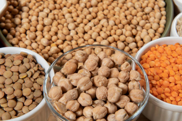 Quality control laboratory