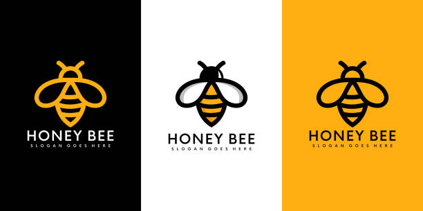 ilustrações de stock, clip art, desenhos animados e ícones de honey bee animals logo vector - abelha