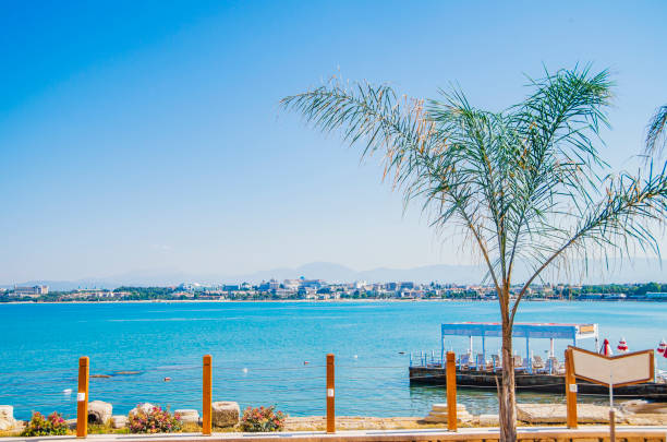 Embankment with Mediterranean palms. Side, Turkey, space for text