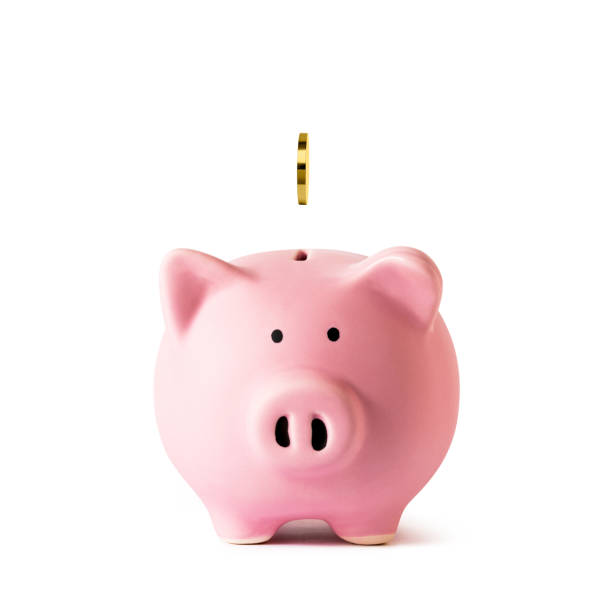 istock Piggy bank and gold coins 1330834745