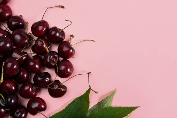 istock Fresh cherries with stems and leaves on pink background. 1330839849