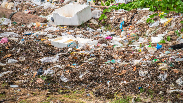 istock Rubbish spread across the shore in Koh Samui 1330840068