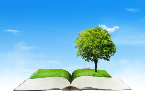 istock Green tree growth thru from opened book with blue sky in background. 1330840751