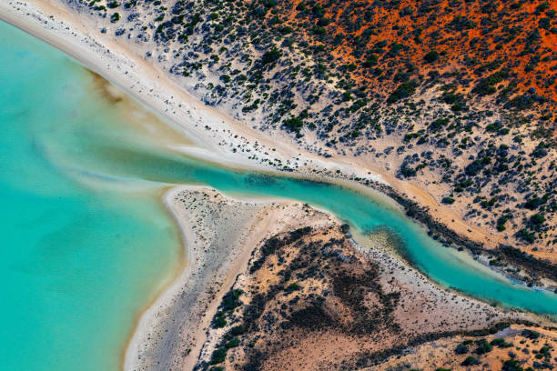istock Abstract aerial photography, Useless Loop, Western Australia 1330841858
