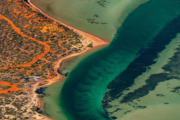istock Abstract aerial photography, Useless Loop, Western Australia 1330841930