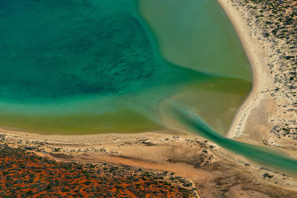 istock Abstract aerial photography, Useless Loop, Western Australia 1330841958